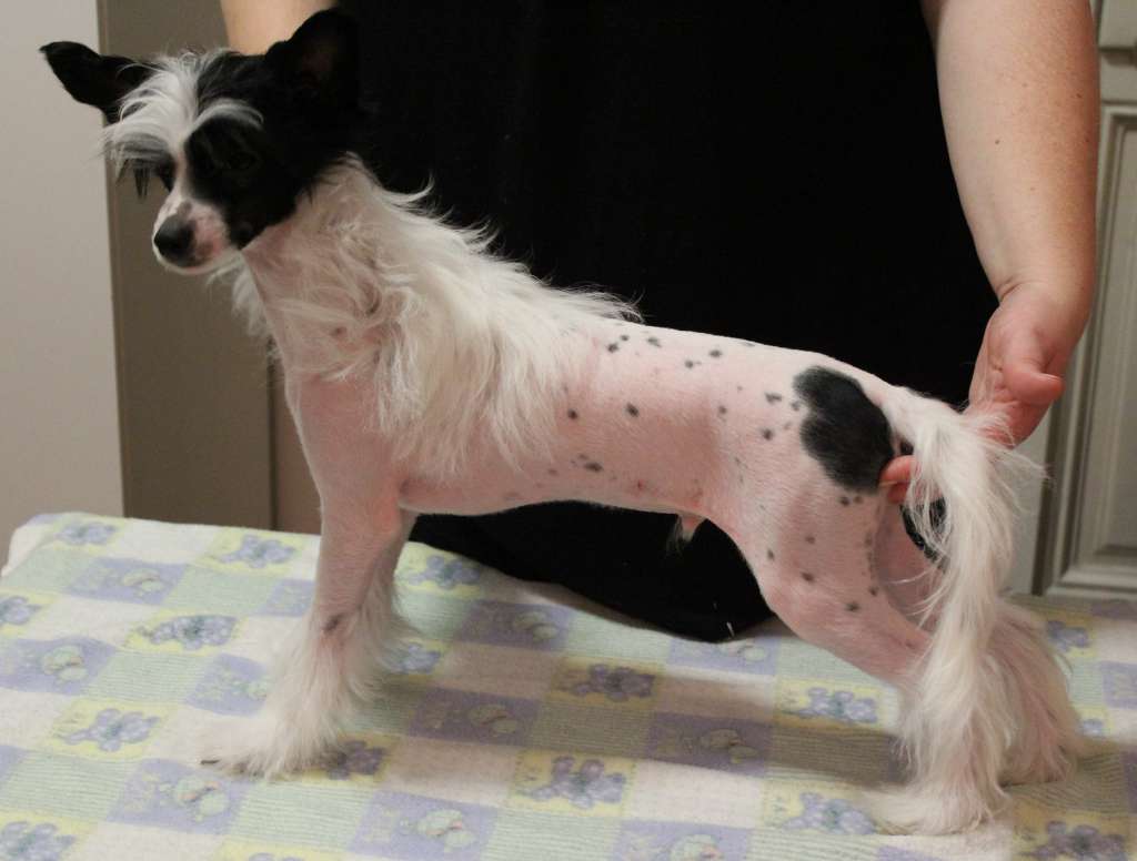 Big Bang Aurora Borealis Croatia