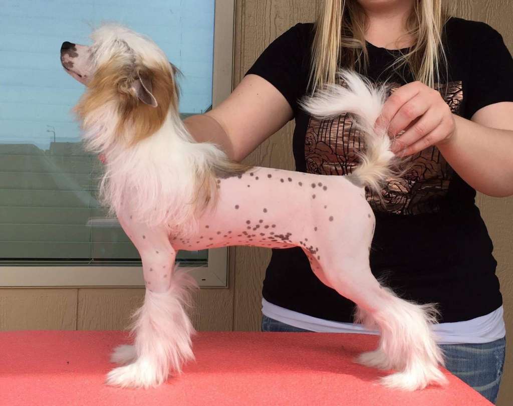 Charisma The Spy Who Loved Me