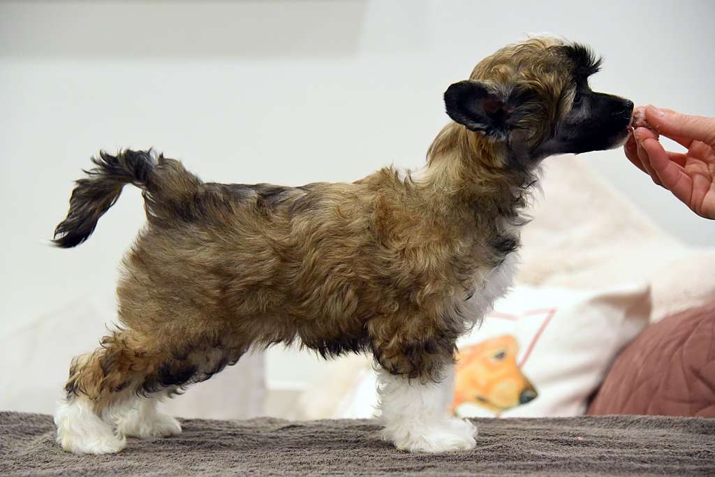 Jean Dark I'm That Girl