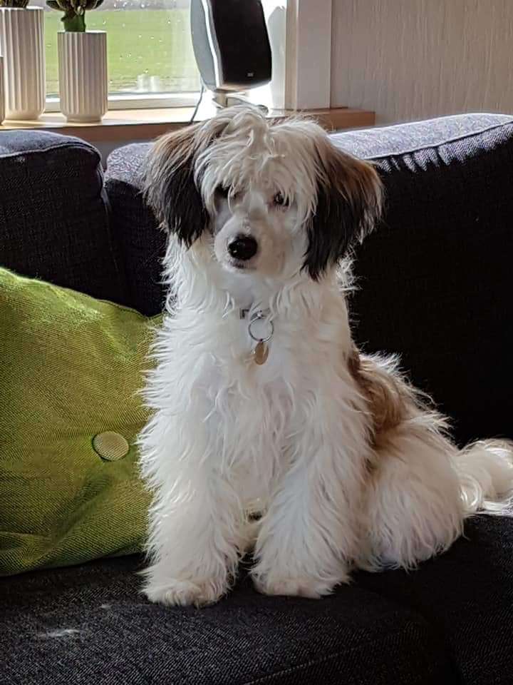 Maximilla's Circle Of Life