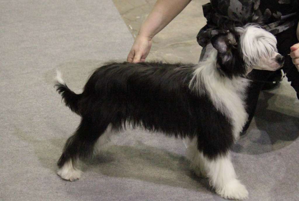 Allegranden Emotion Lotion