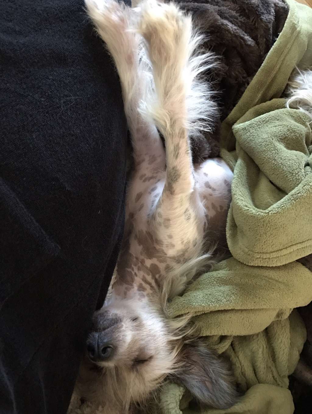 Tournais Sun Is The New Black