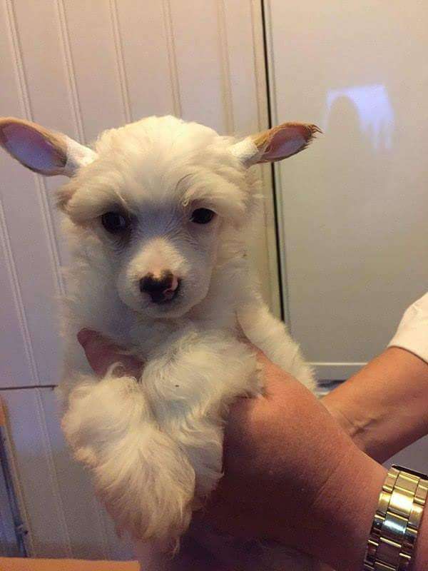 Tournais True Colors Of The Sun