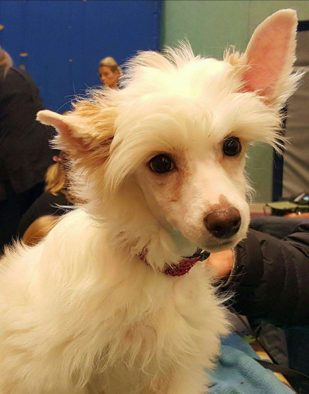 Tournais Where The  Sun Do Not Shine