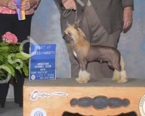 Olivera's Keep On Truckin'