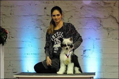 Donut Tasty Pretty Sweet