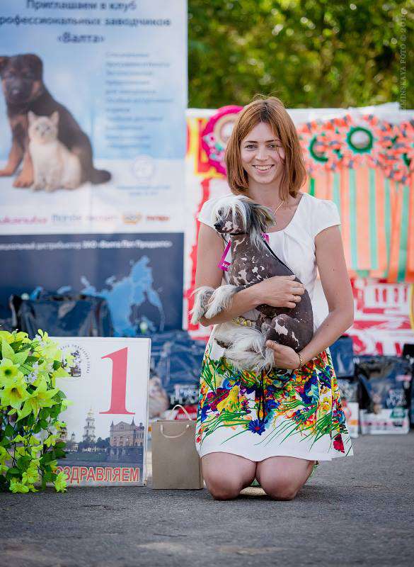 Zafir Ice Cream Iz Strani Cvetov