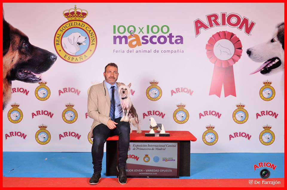 Loly Star De Tiera De Magec