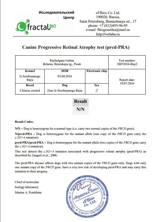 Zeus iz Serebryanogo Raya