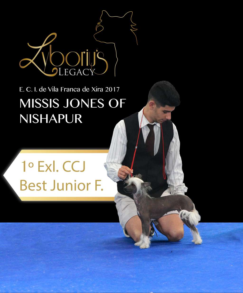 Missis Jones of Nishapur