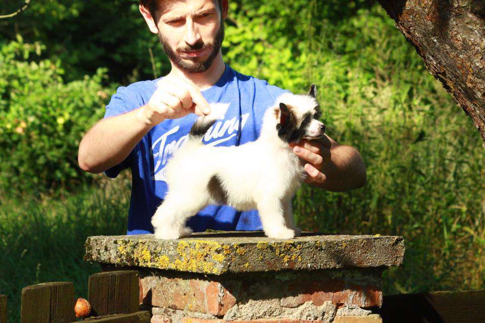 Rachunek Sumienia Next Germanika