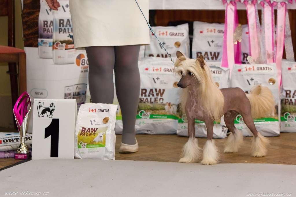 Tomio z Kamilova dvora