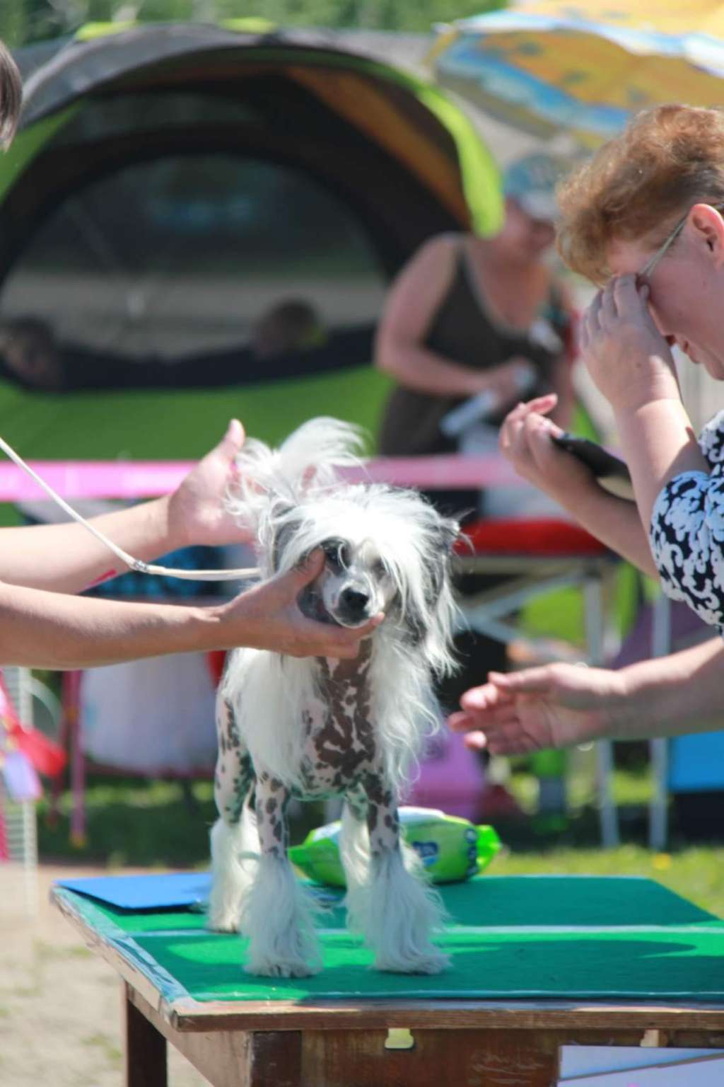 Futura Reina Del Bosgue Negro