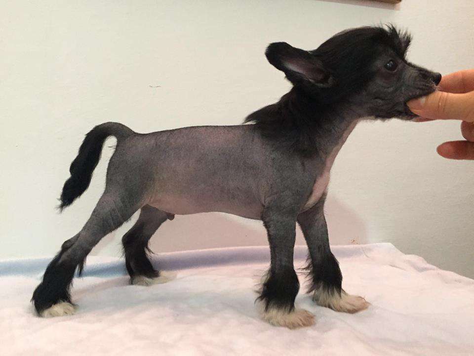 Bentejui De Tierra De Magec