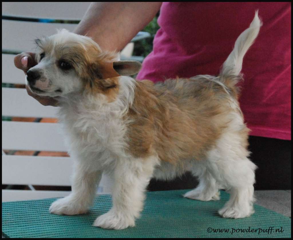 Keep On Smiling of Roxy's Pride