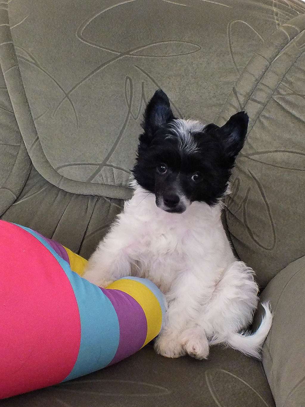 Sky Miracle Tsunami Lyubvi