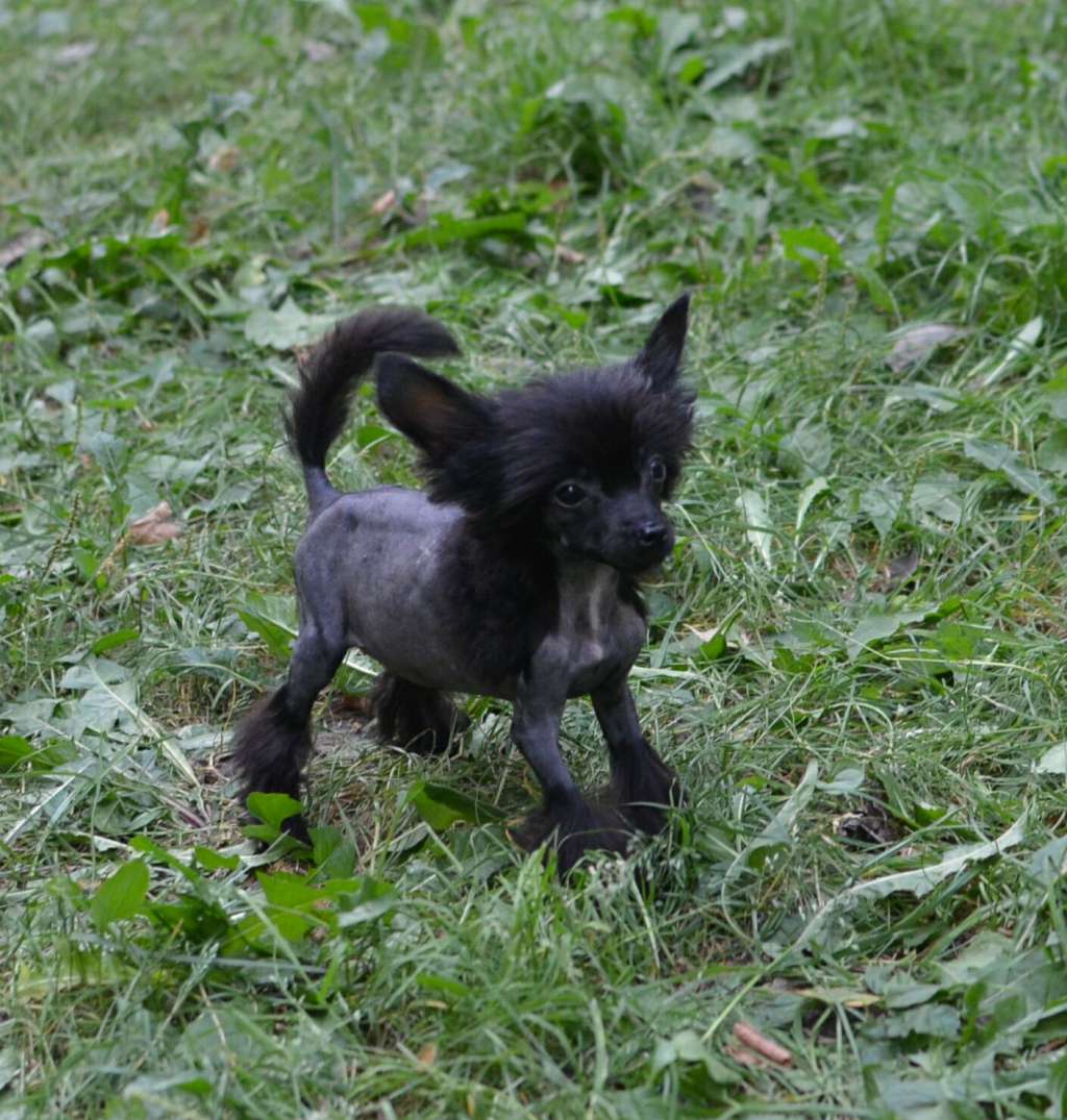 Magic of Success Glamorous Boy