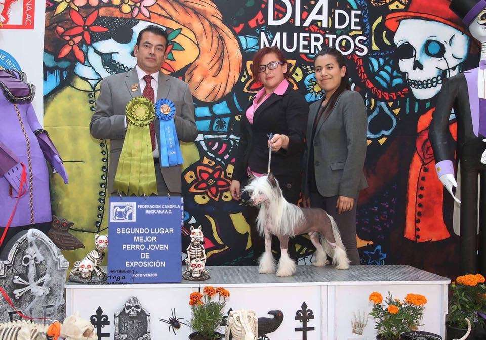 Lore No Money No Love