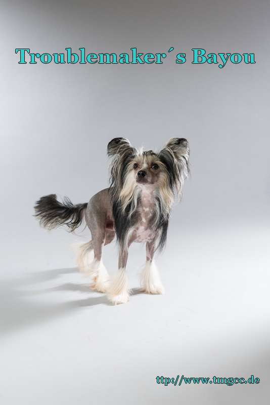 Troublemaker's Bayou