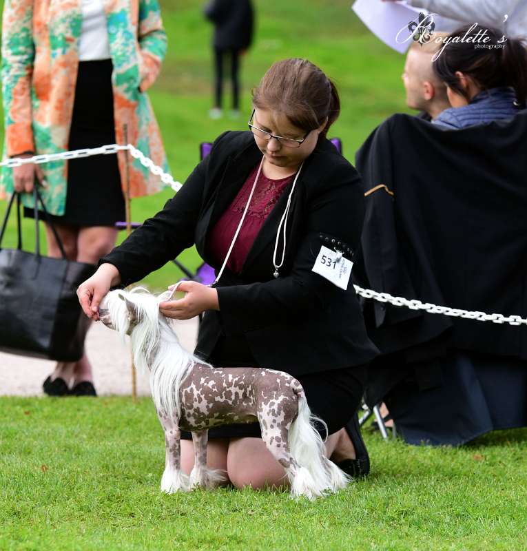 Kaitlin Miss Little Kiss Kiss Bang