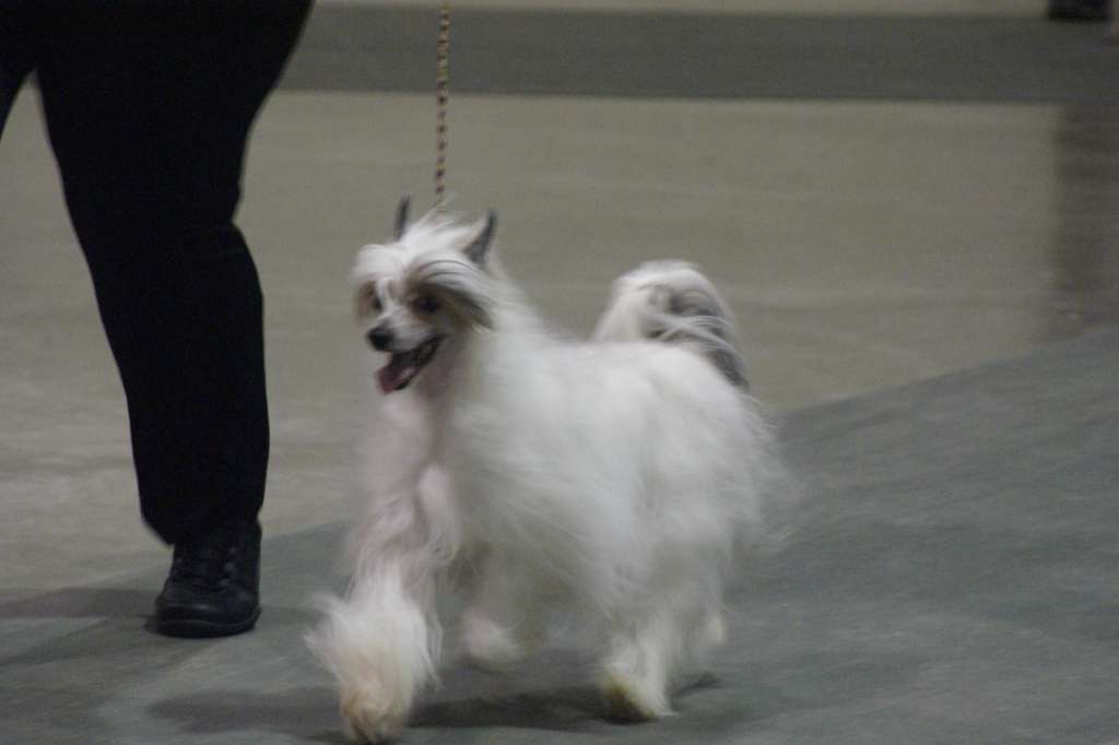 Dokkum Nights On Broadway