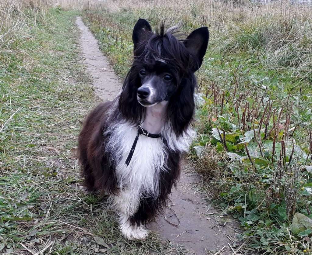 Sofiris Show Exciting Smile