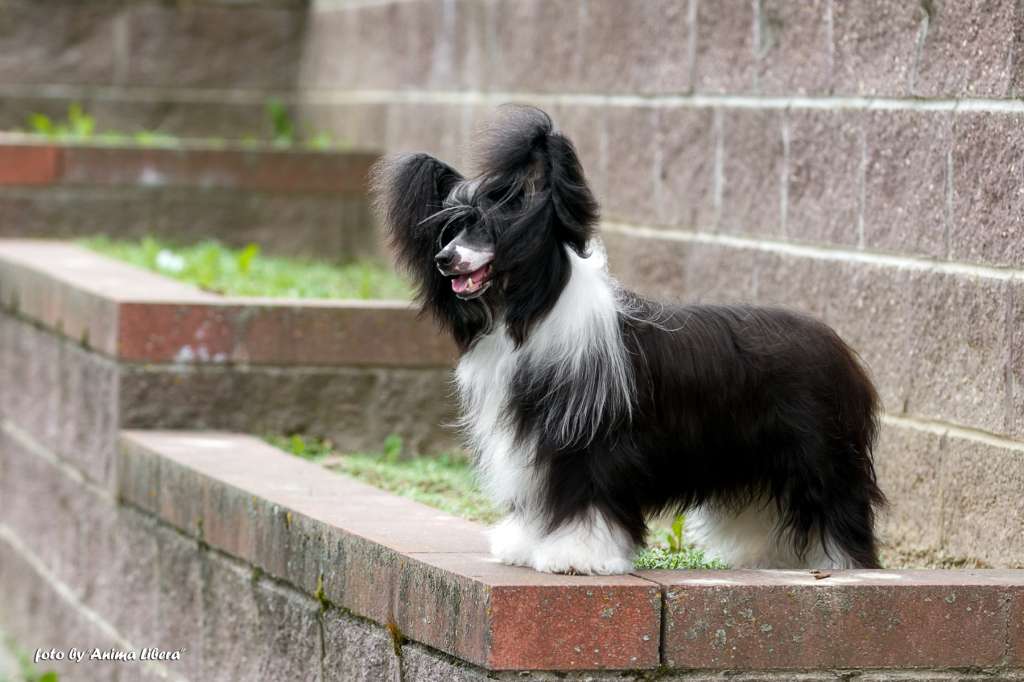 Sofiris Show Eye Candy