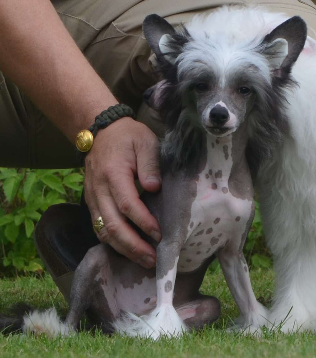 Prefix Zorba The Greek