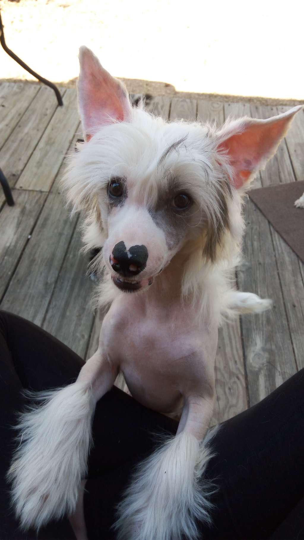 Sterling-Karma Caribbean Fantasy