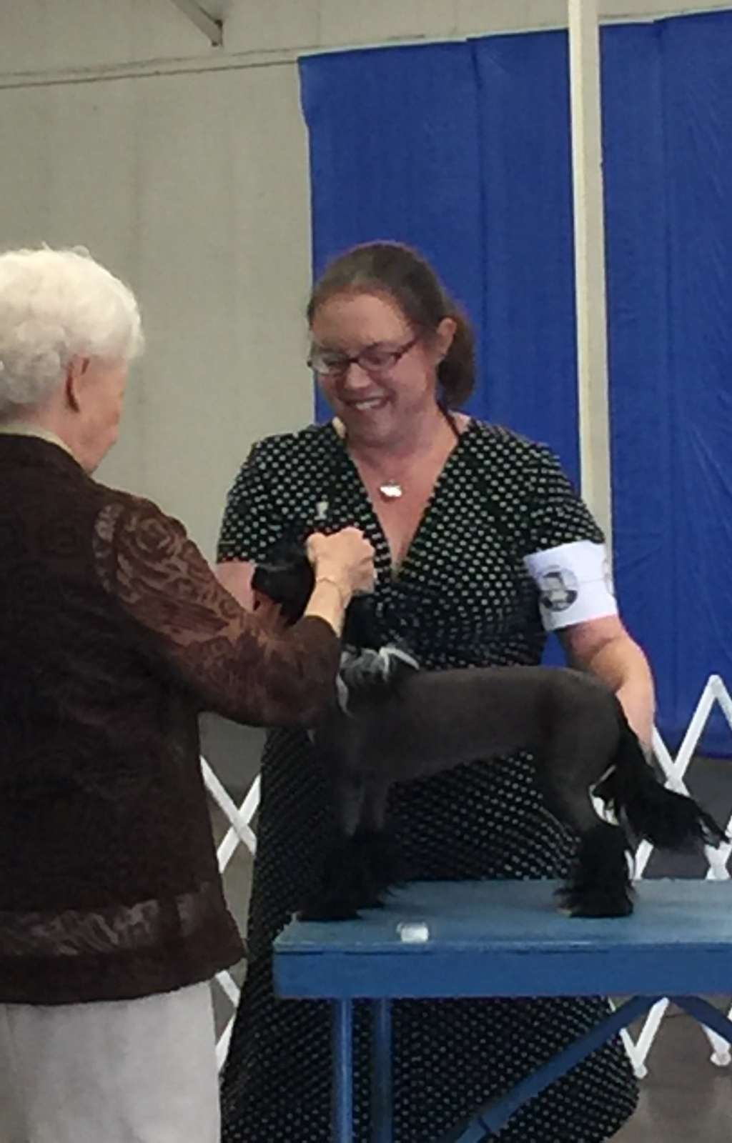 Sterling-Karma Addicted to Dahlias