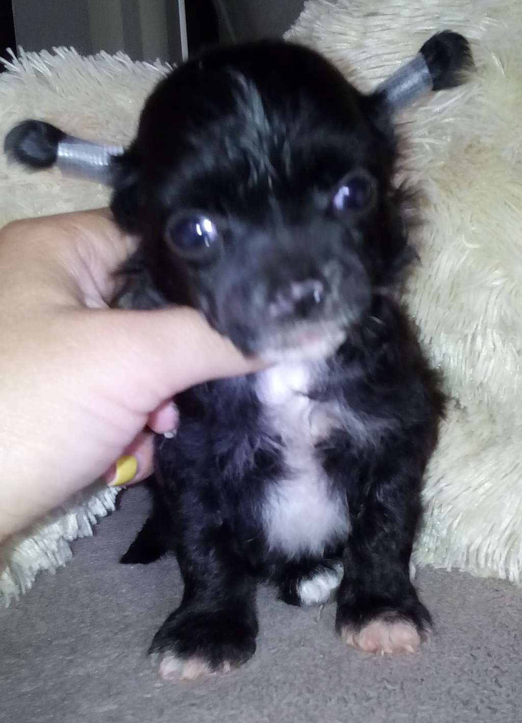 Mio My Mio Iz Doma Shasin