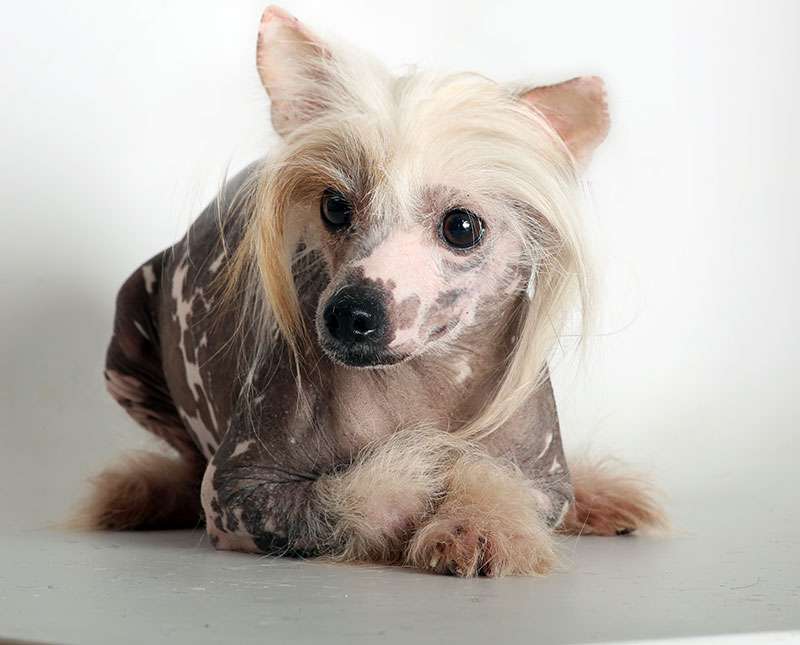 Send a Fireman I'm Hot Hot Hot