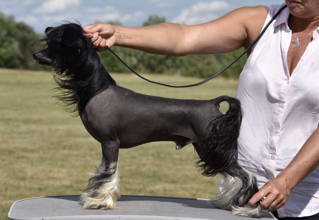 Jean Dark Making Memories