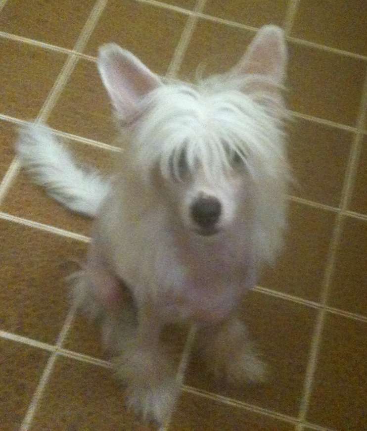 Pan di Zucchero della Blenda