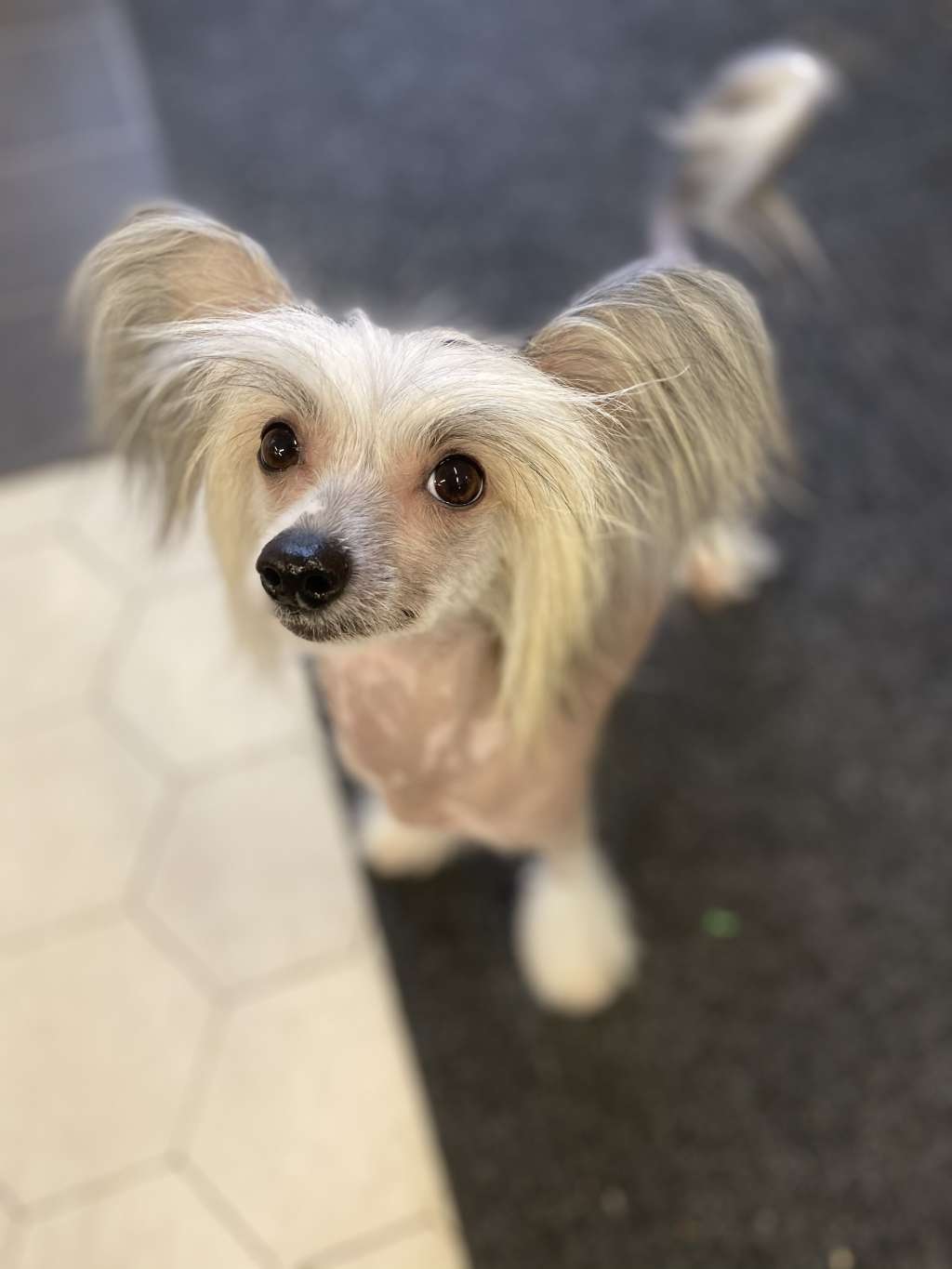 Kalimera's Hot Tzatziki