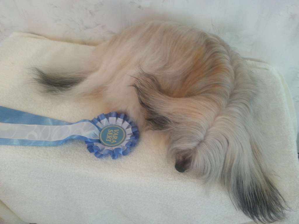 Pideraq's Chinese Power Point