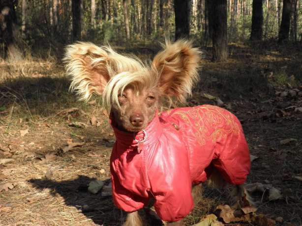 Salvando Black Of Channel