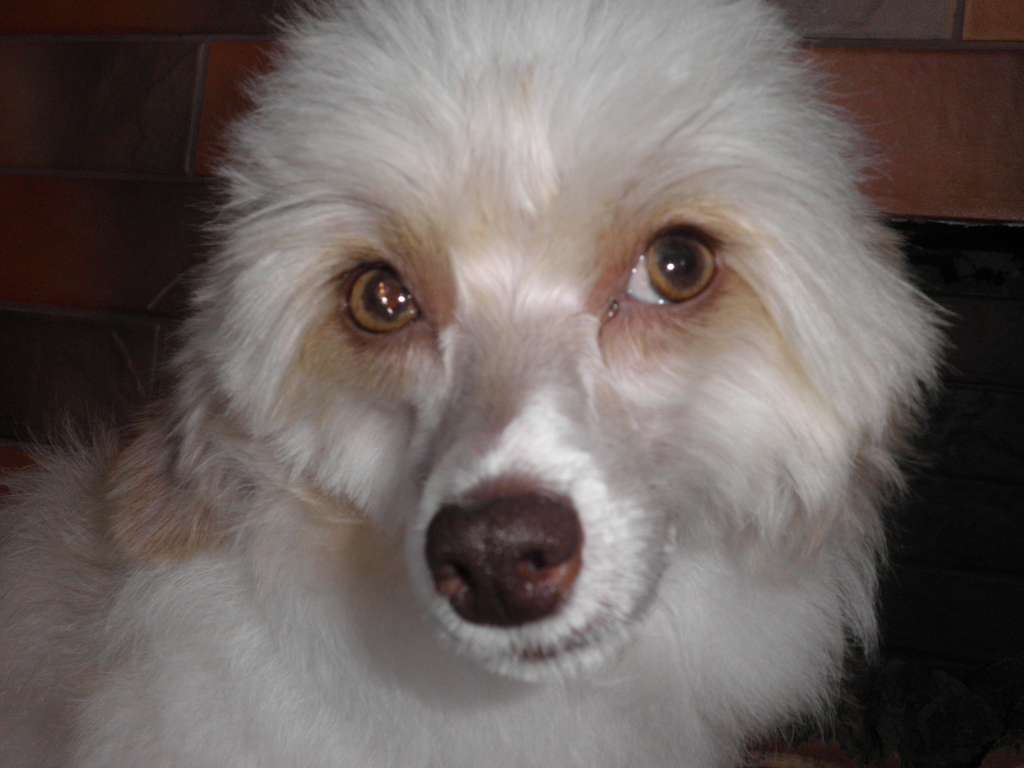 Monroe Rokkoko Ot Gospozhi Kovalenko