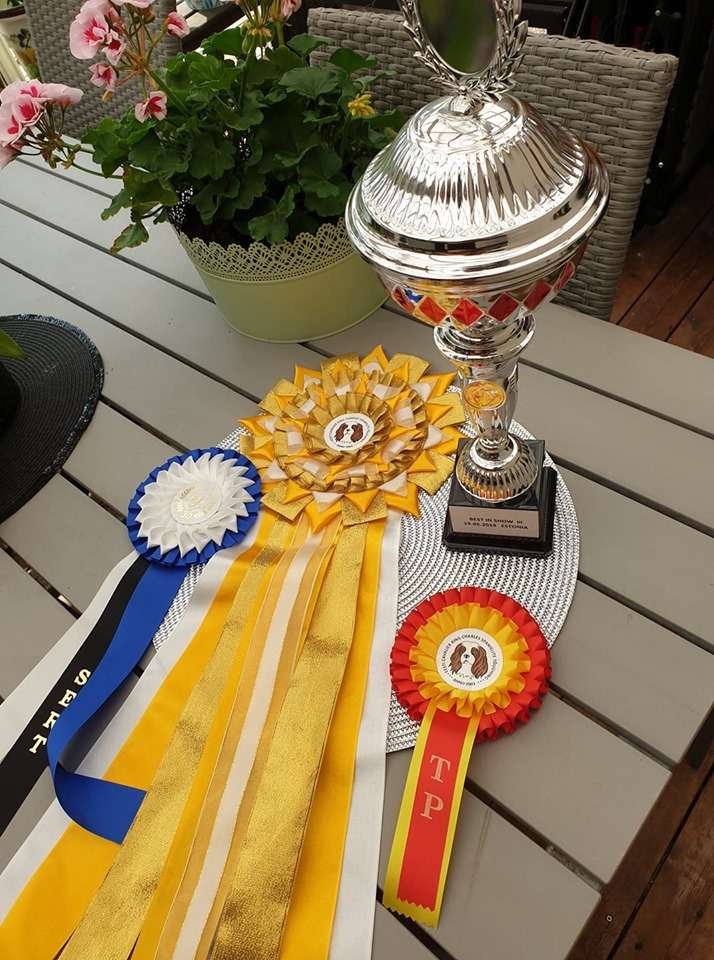 Ridgecrest's Princess Magnificent