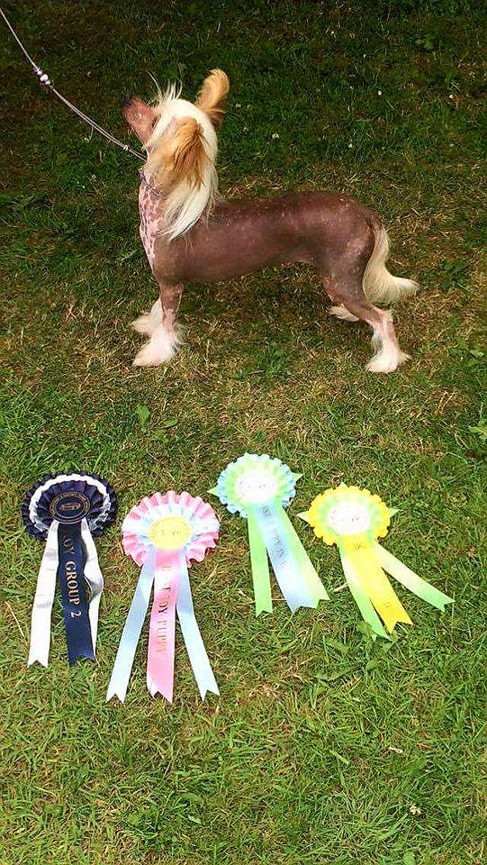 Ridgecrest's Princess Awesome