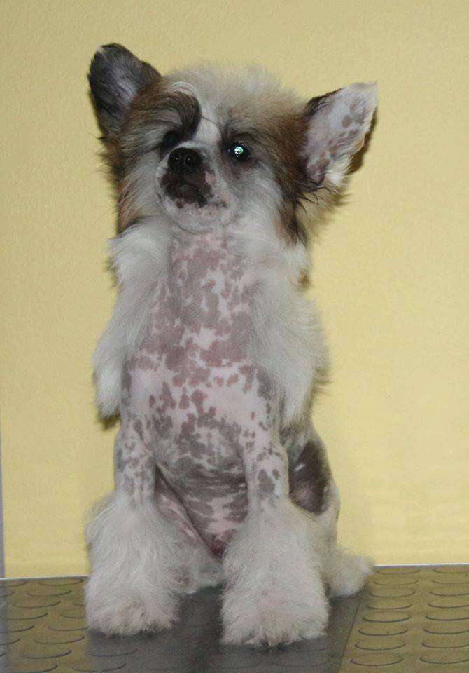 CIVIC Ready for love