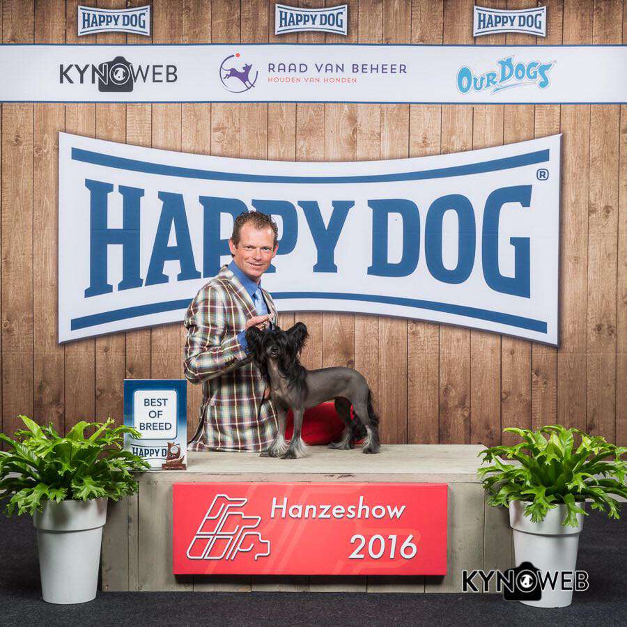 Happy Dancing Chique Dancer