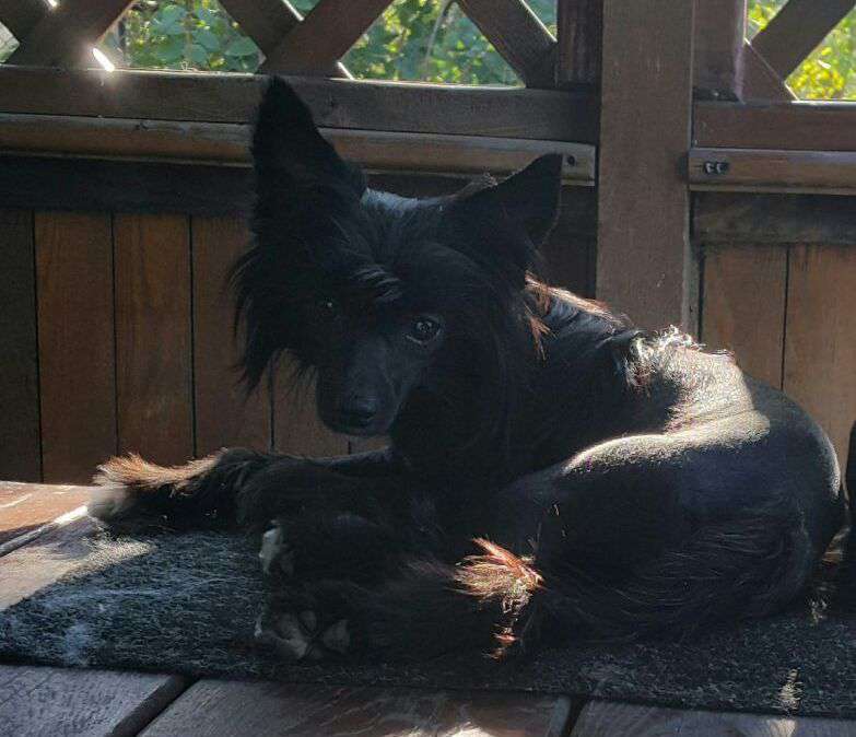 Sher Apriori Beatiful Ruah-In-Vifania