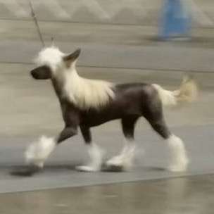 Edelweiss Come On Vacation Leave On Probation