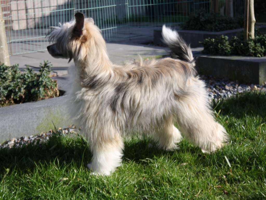 More To Love of Angel's Legacy