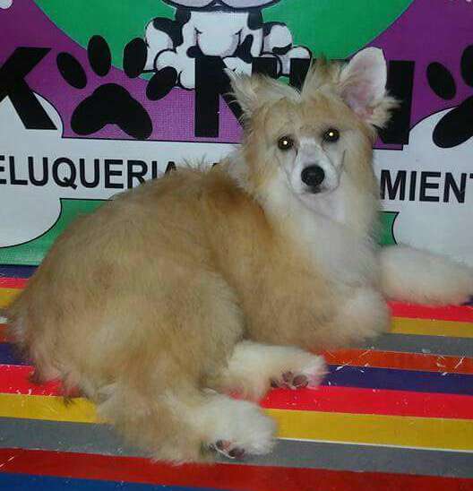 Magnus Staff Quentin Tarantino