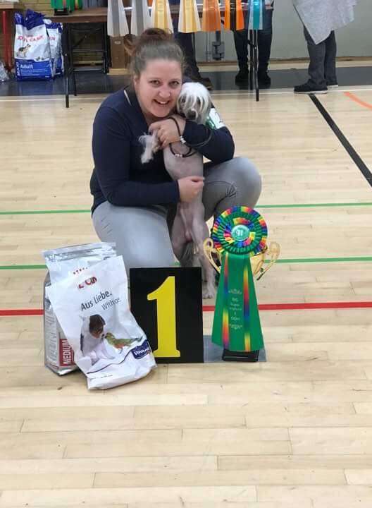 Crazy Brush Tip von Natelberg