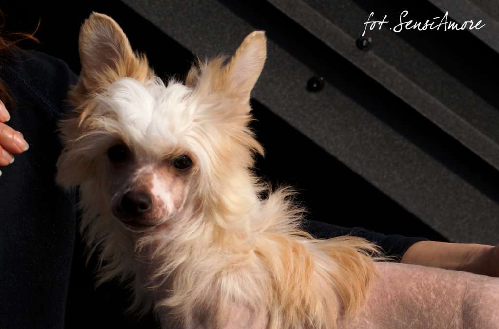 Esperando por ti SensiAmore