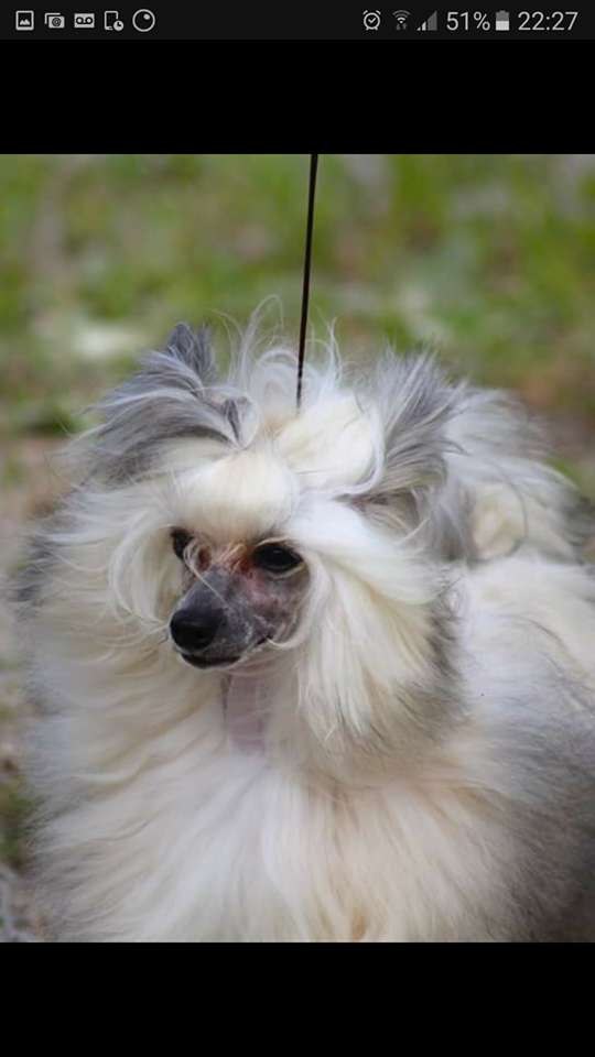 Paparazzi World Is Mine I Am Jadore