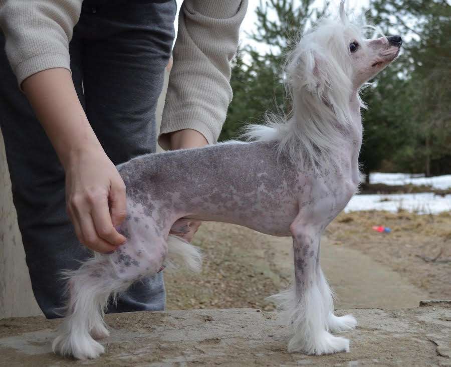 Fortuna I Favn Imagine your Dream